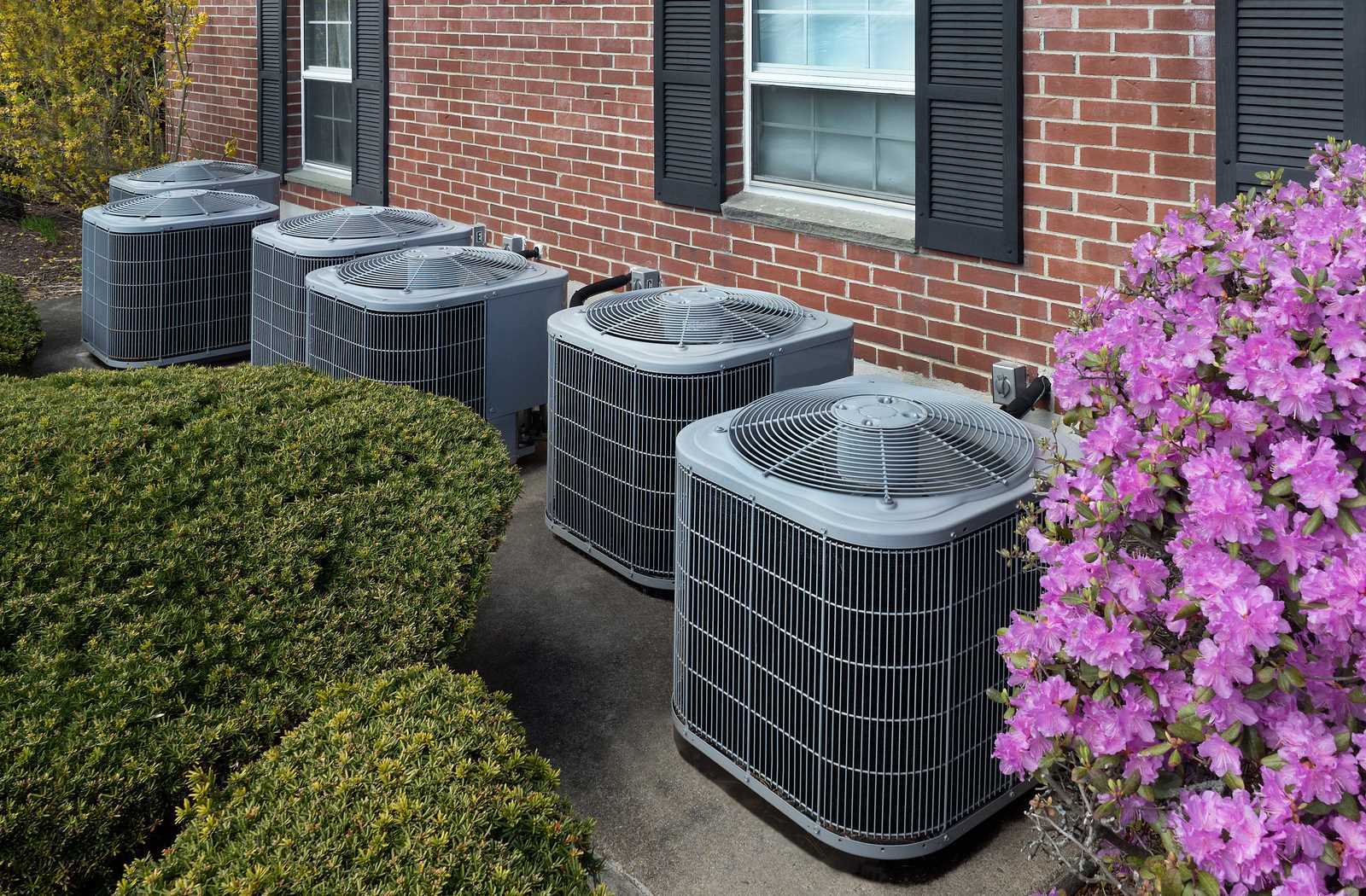 Air conditioning compressors beside garden with purple flowers